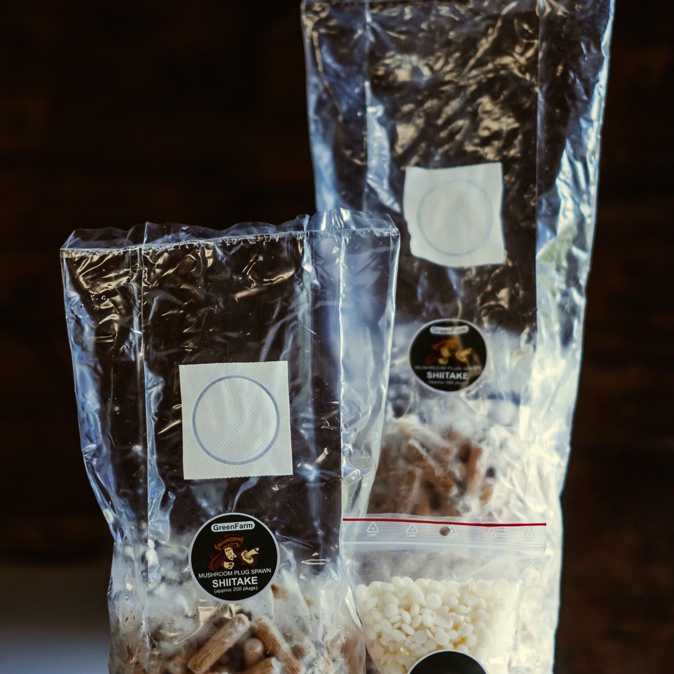 Shiitake 500 Pilzbrut-Plugs: Anzuchtset für Hartholzstämme