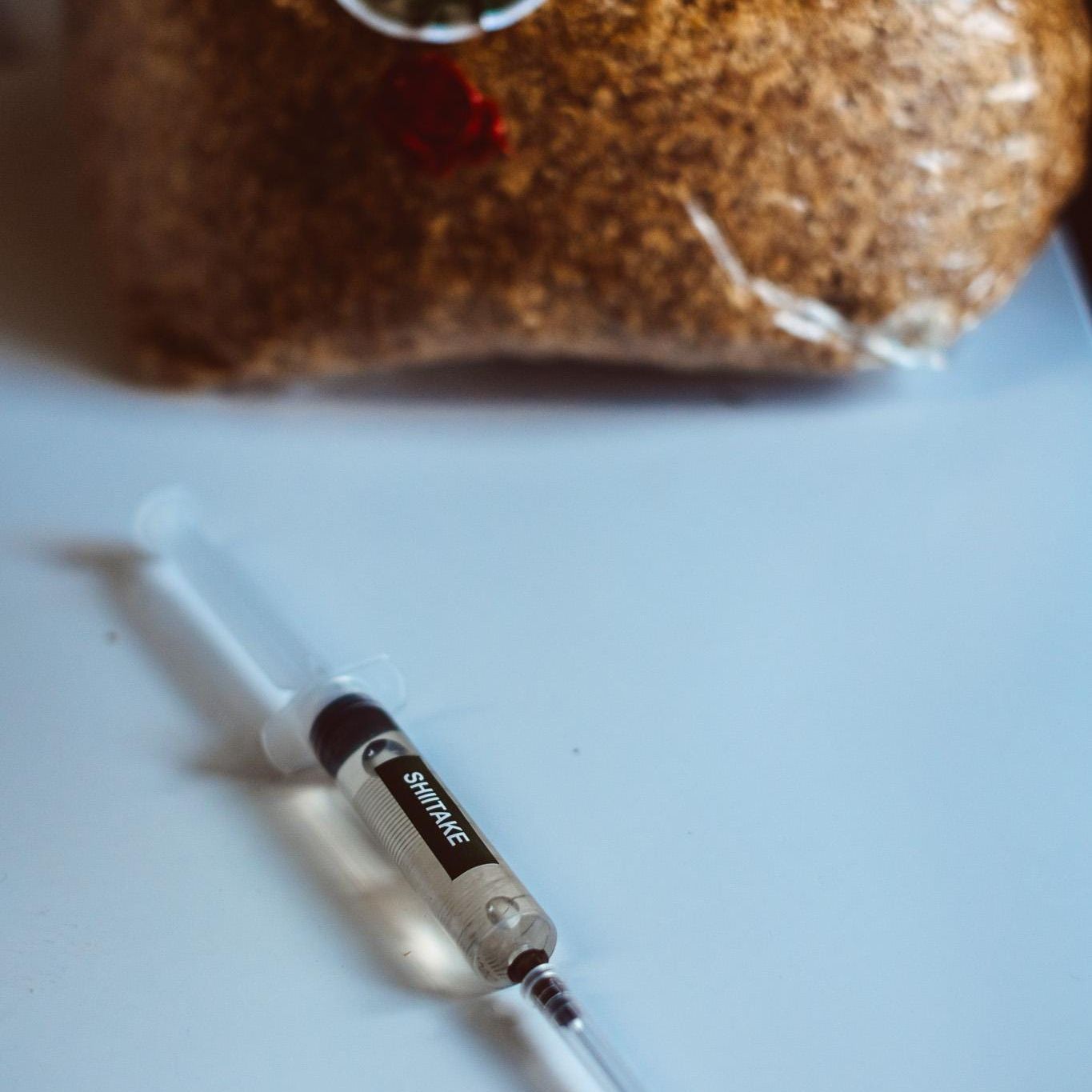 5x Shiitake Liquid Culture β 10ml Syringes | Lentinula edodes | Bulk Mushroom Mycelium for Growing