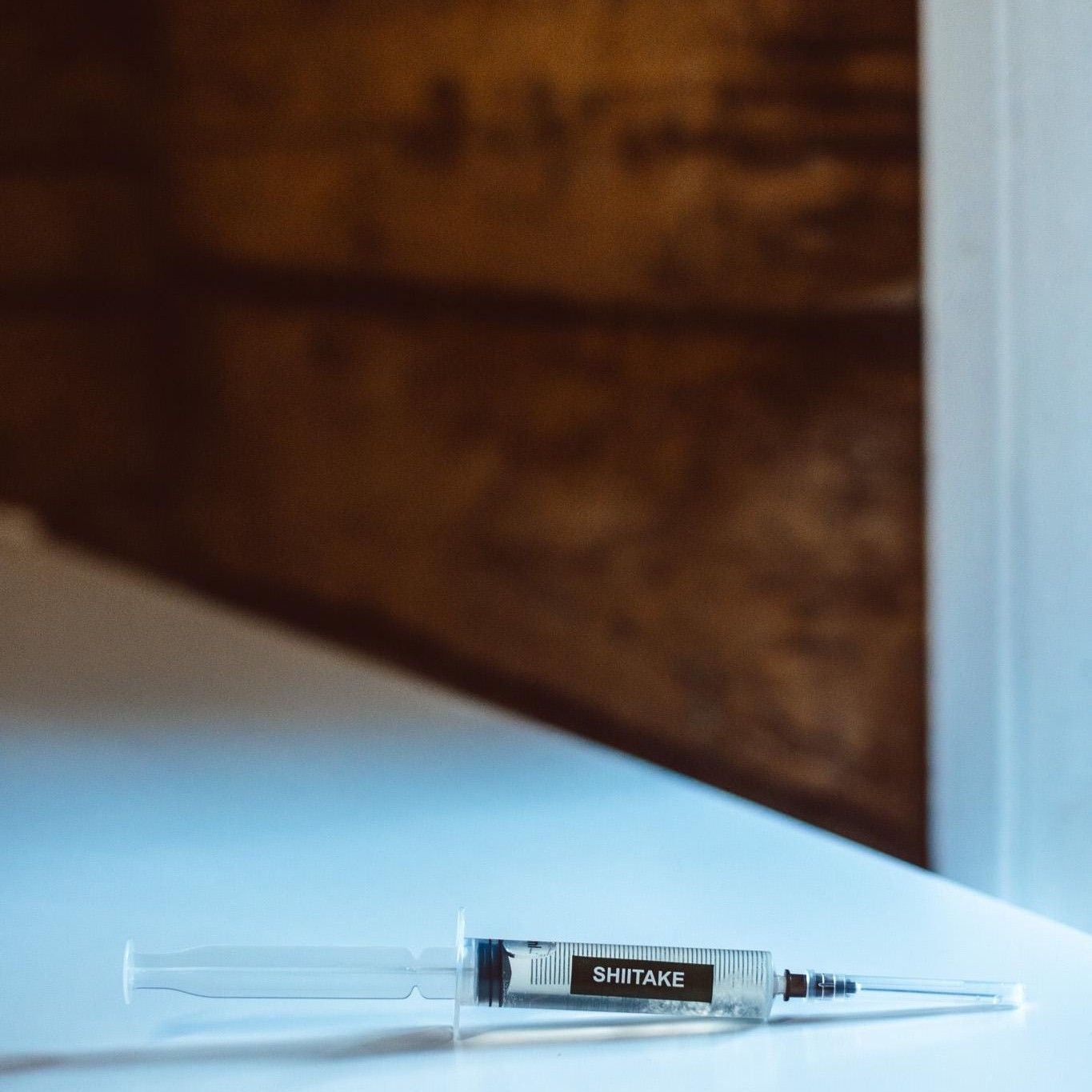 3x Shiitake-Flüssigkultur – 10-ml-Spritzen | Lentinula edodes | Gourmet-Pilzmyzel für den Eigenanbau