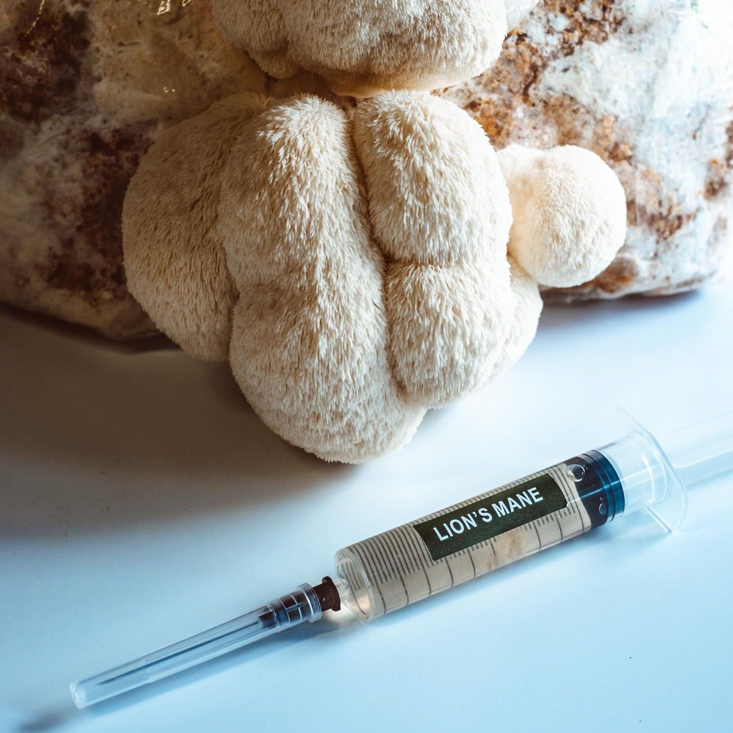 Löwenmähne Flüssigkultur-Spritzen 10 x 10 ml | Hericium erinaceus | Pilzzucht-Set für Zuhause, Pilzkunde, Anfänger-Garten-Set