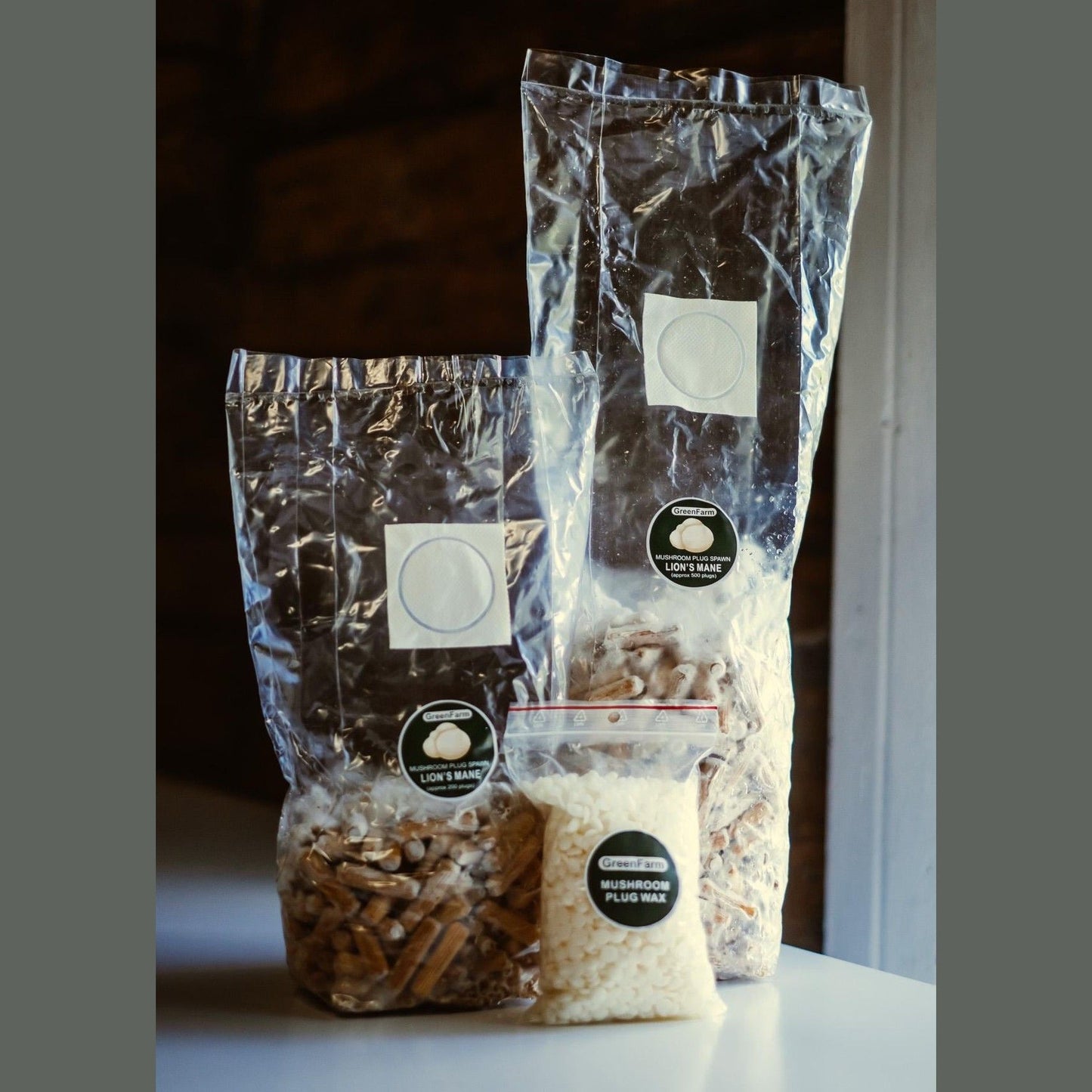 Löwenmähnenpilze züchten | Vollständige Anleitung für die Kultivierung auf Baumstämmen und in Flüssigkultur | 41-seitiges PDF | Sofort-Download