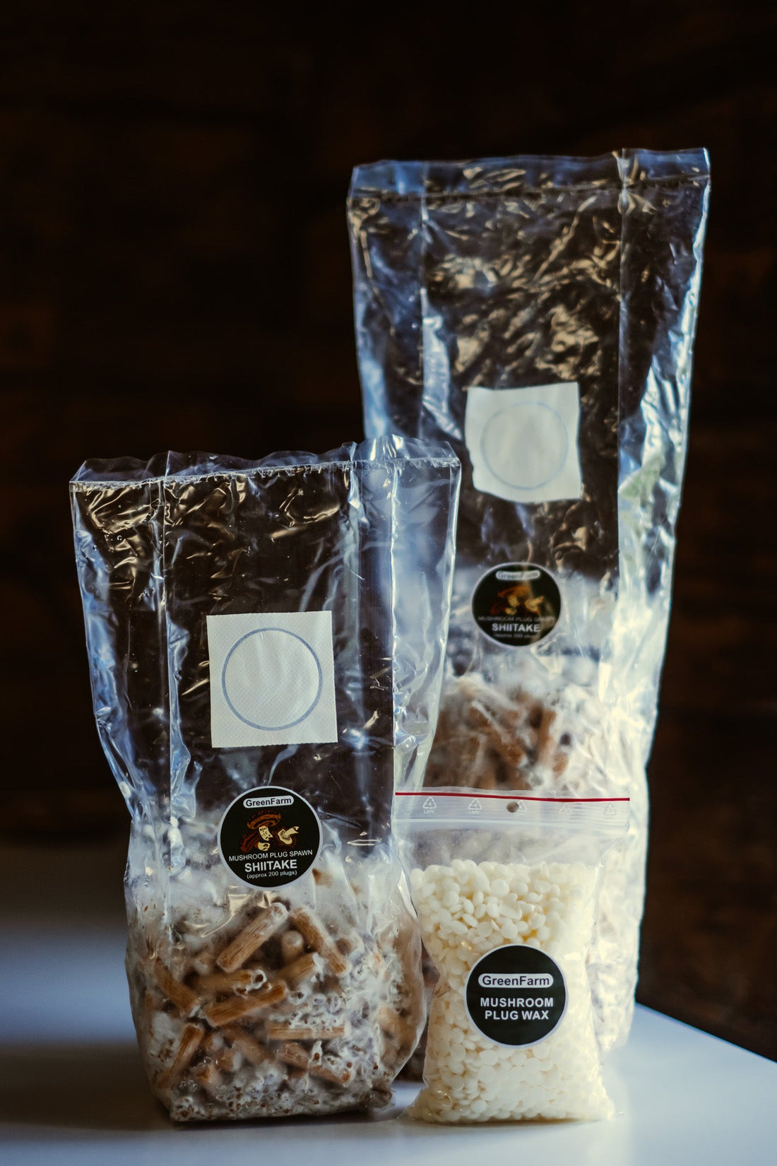 Where to Buy Shiitake Plug Spawn in Europe