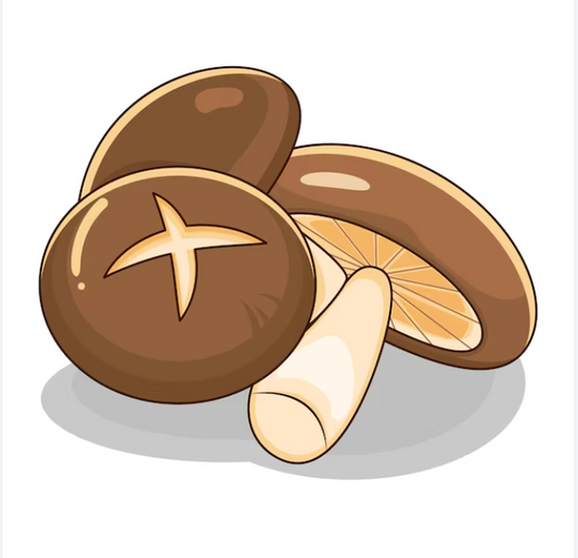 Shiitake Mushroom Cultivation Guide in Europe (Using Plug Spawn)
