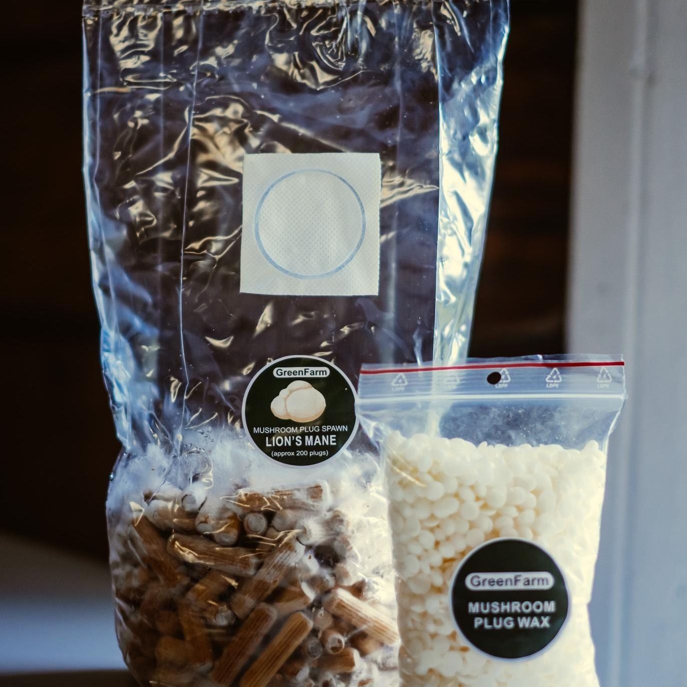 Löwenmähne 200 Pilzbrut: Züchten Sie Ihren eigenen Hericium erinaceus