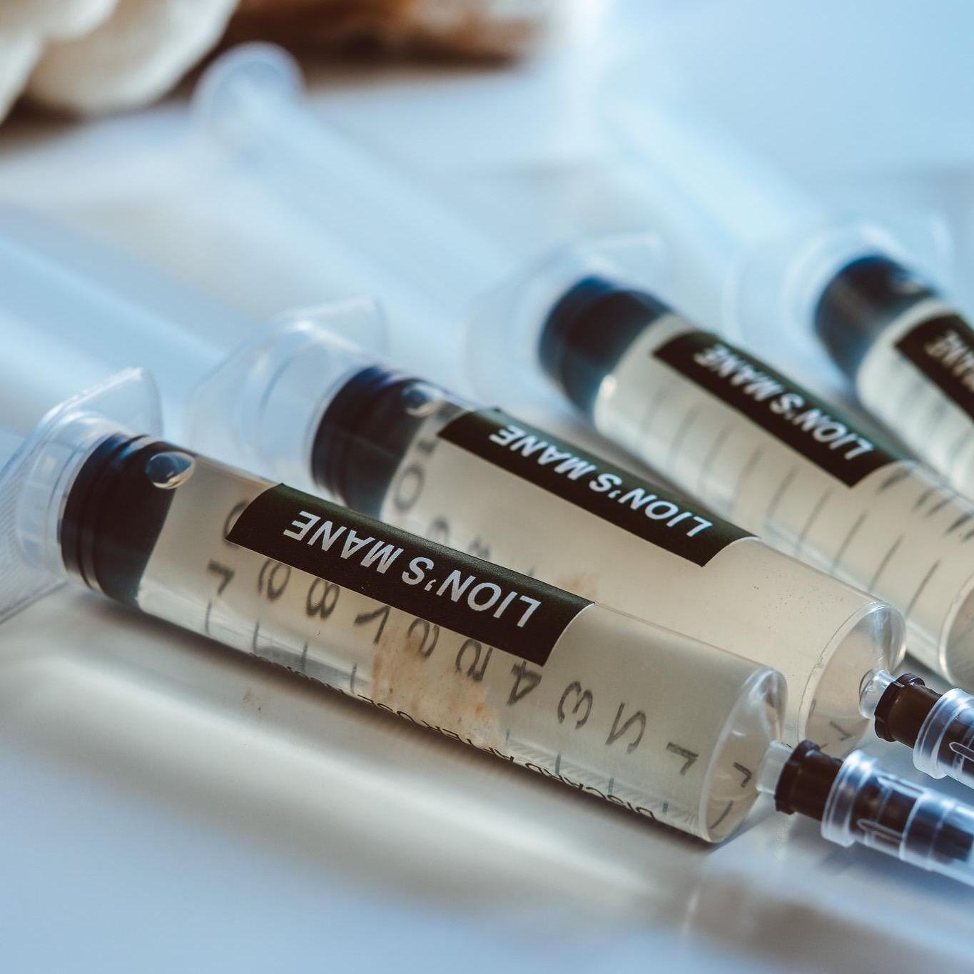 5x Löwenmähnenpilz-Flüssigkultur – 10ml Spritzen | Hericium erinaceus | Pilzmyzel für den Hausanbau