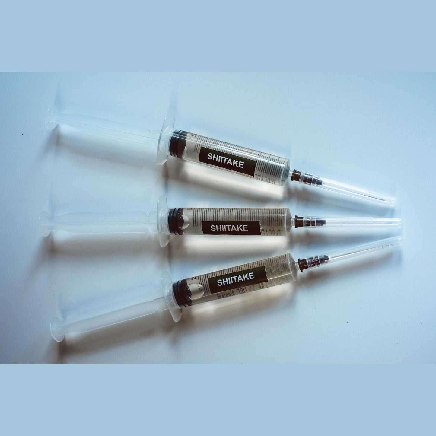 3x Shiitake-Flüssigkultur – 10-ml-Spritzen | Lentinula edodes | Gourmet-Pilzmyzel für den Eigenanbau