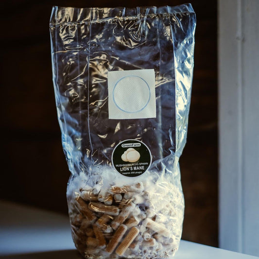 Löwenmähne 200 Pilzbrut: Züchten Sie Ihren eigenen Hericium erinaceus