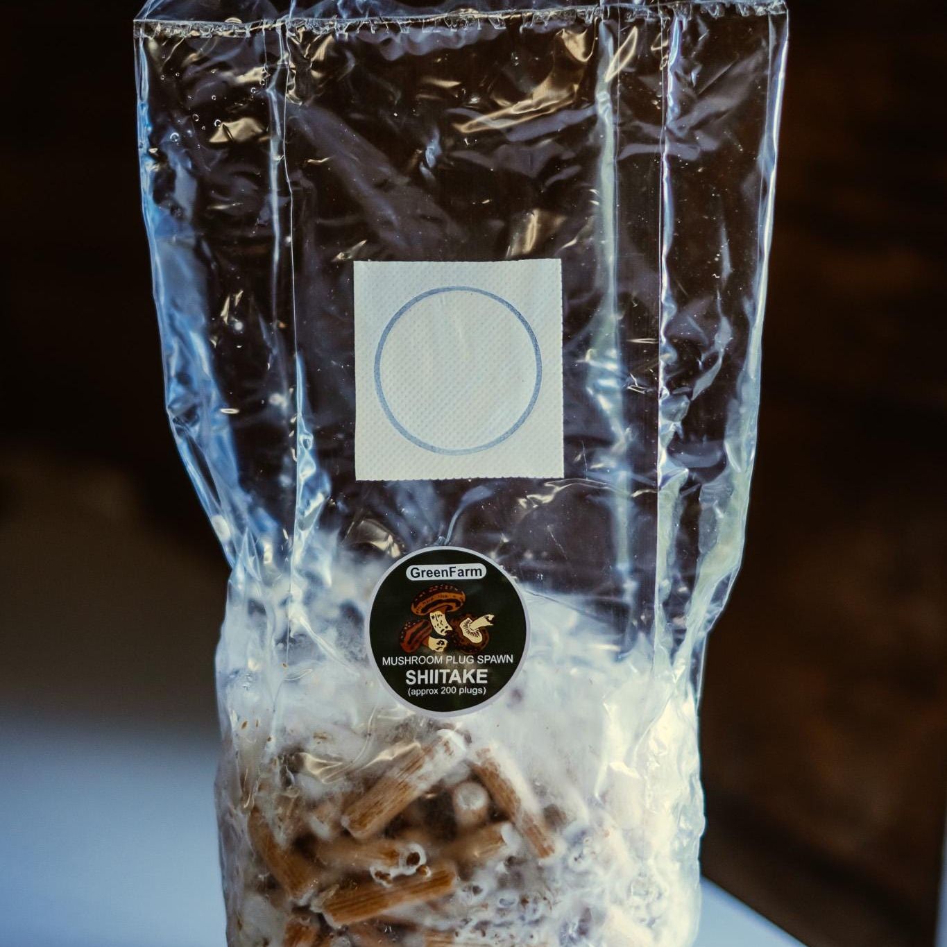 Shiitake 200 Pilzbrut-Set: Züchten Sie Ihre eigenen Gourmet-Pilze