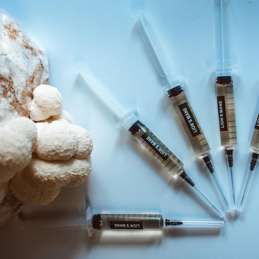 5x Löwenmähnenpilz-Flüssigkultur – 10ml Spritzen | Hericium erinaceus | Pilzmyzel für den Hausanbau