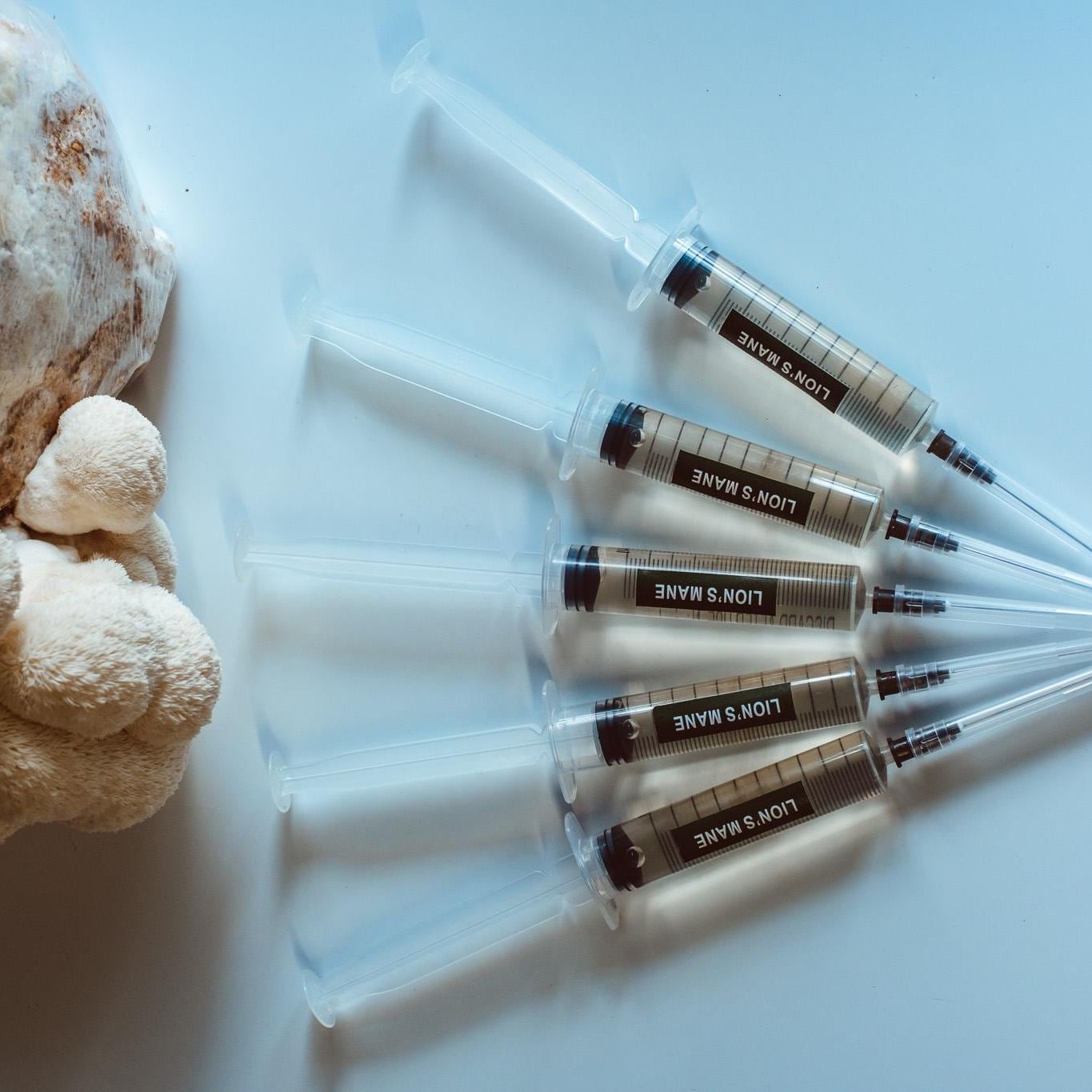 Löwenmähne Flüssigkultur-Spritzen 10 x 10 ml | Hericium erinaceus | Pilzzucht-Set für Zuhause, Pilzkunde, Anfänger-Garten-Set