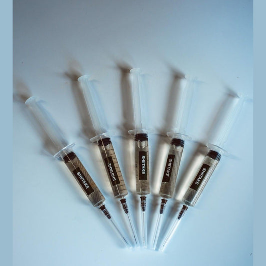 Shiitake-Flüssigkulturspritzen 10 x 10 ml | Lentinula edodes | Pilzmyzel in großen Mengen für den Anbau