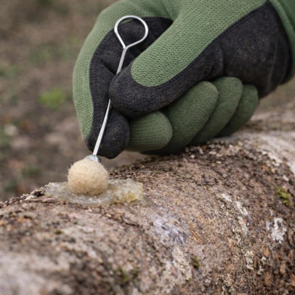 Shiitake-Pilzbrut-Dickkerne, 500 Stück | Pilze selbst züchten | Beimpfung von Hartholzstämmen